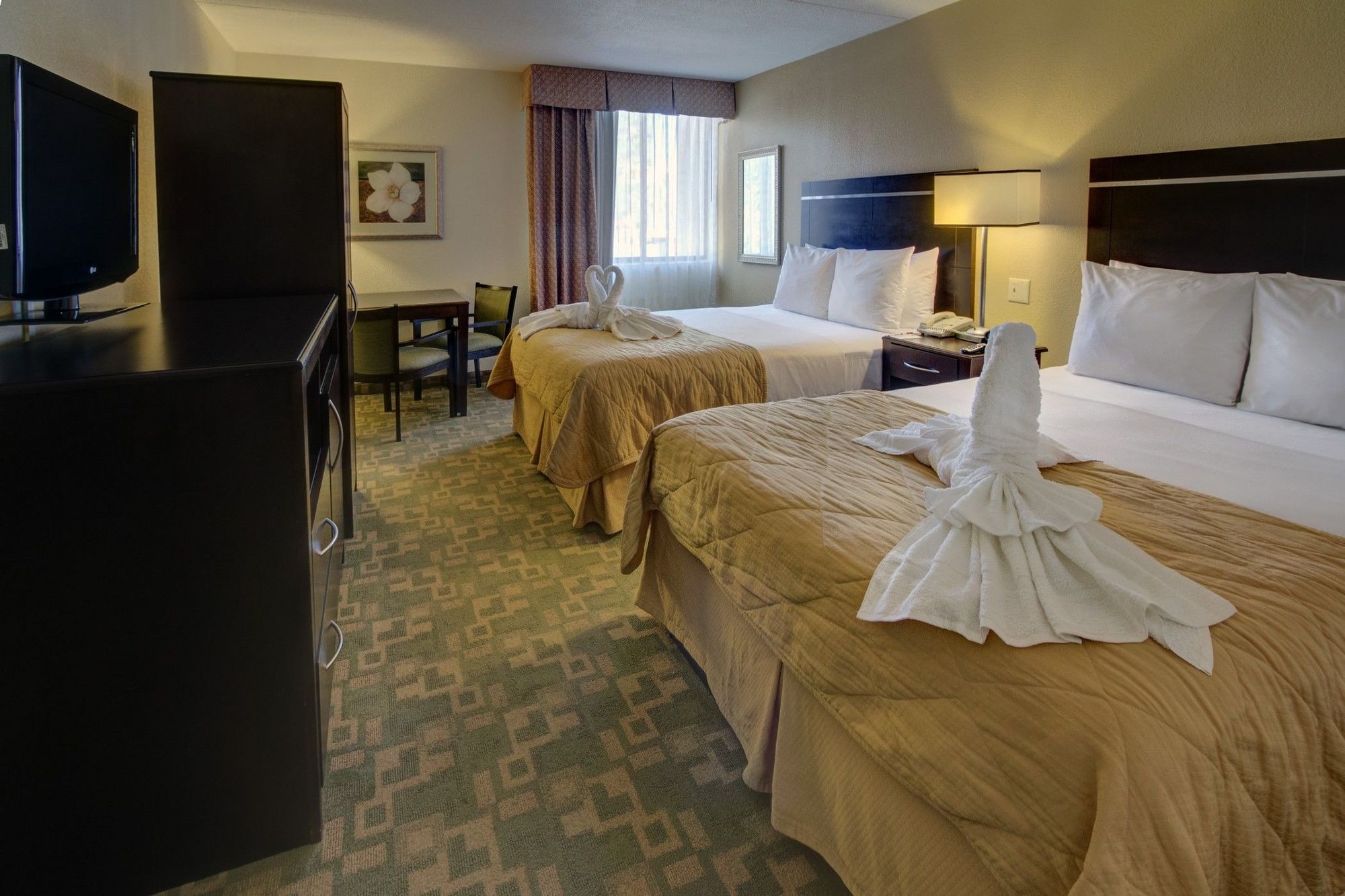 Clarion Inn & Suites At International Drive Williamsburg Cameră foto